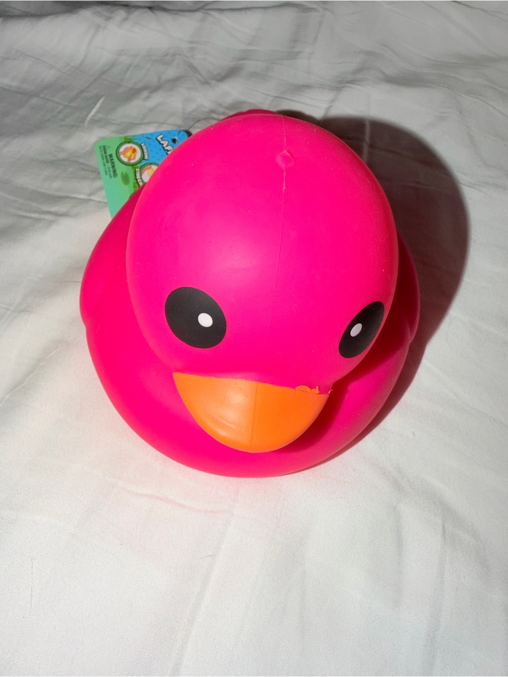 Sunny Days Duck